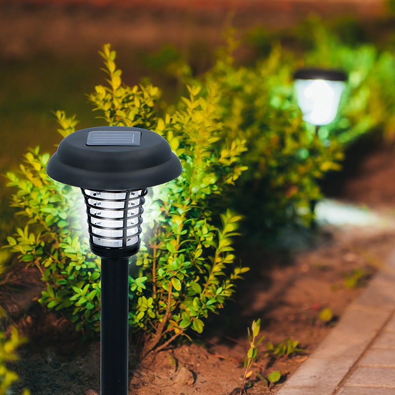 Product gallery 65054