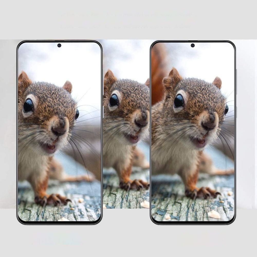 Product gallery 91654