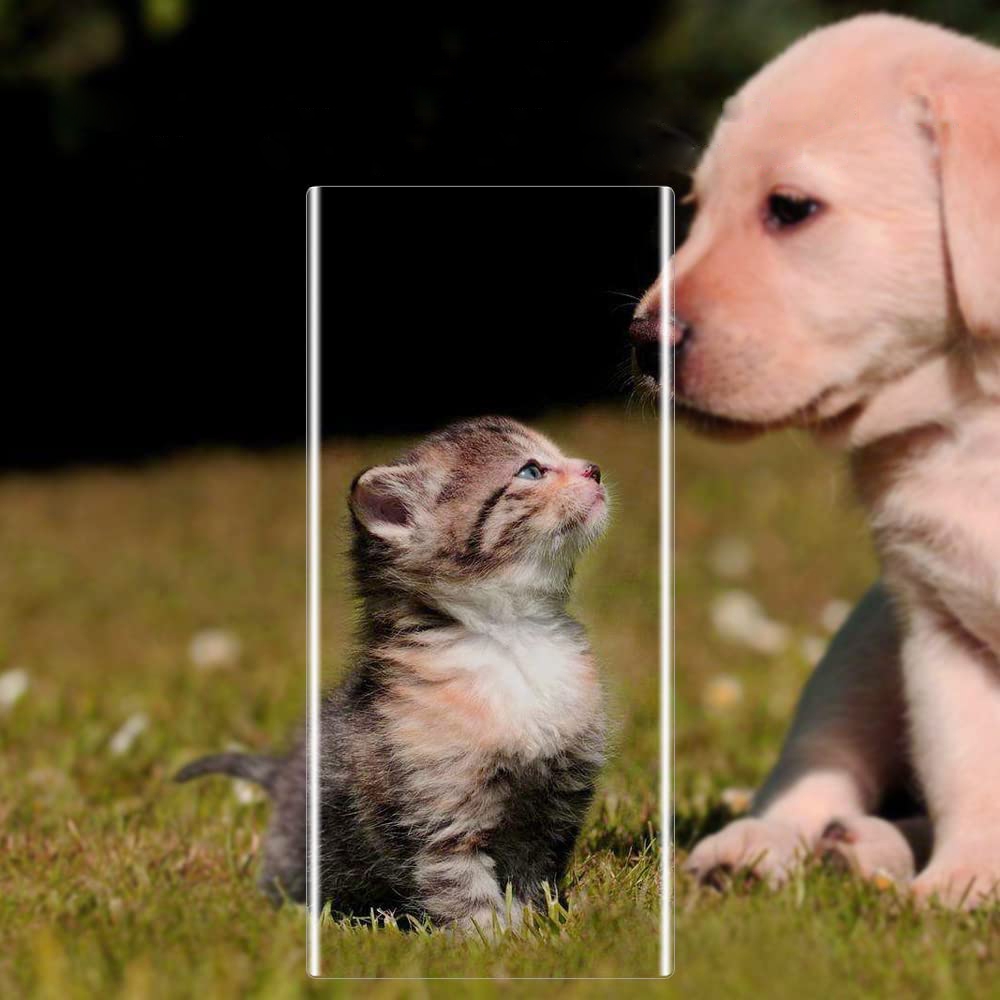 Product gallery 66770