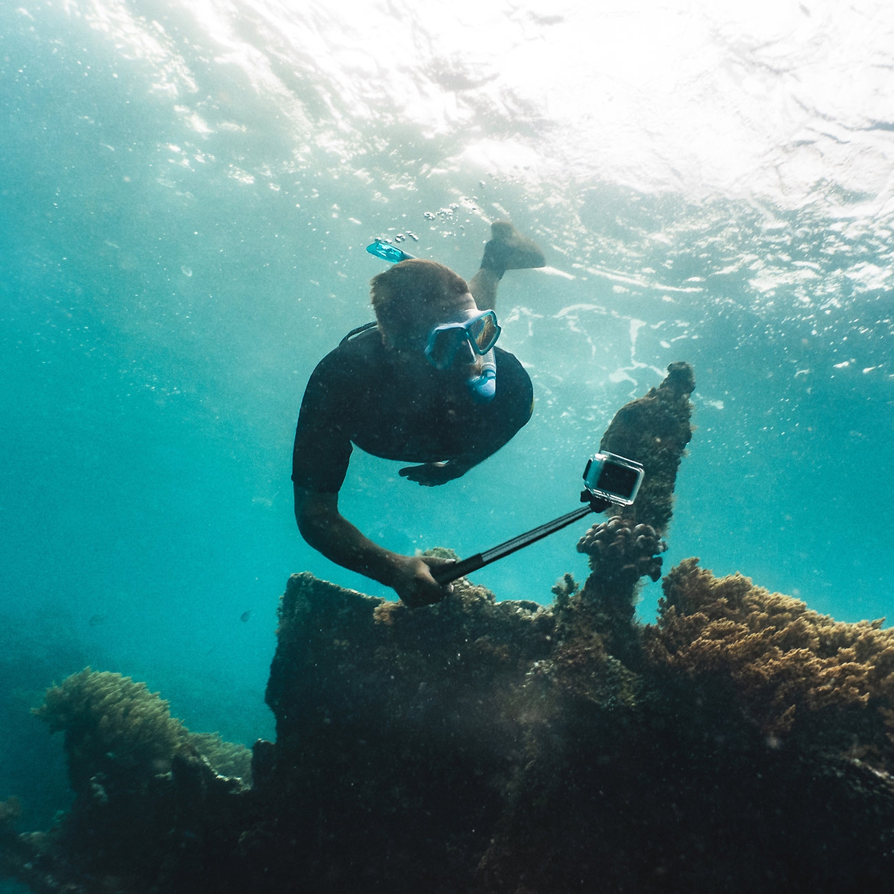 Product gallery 37738