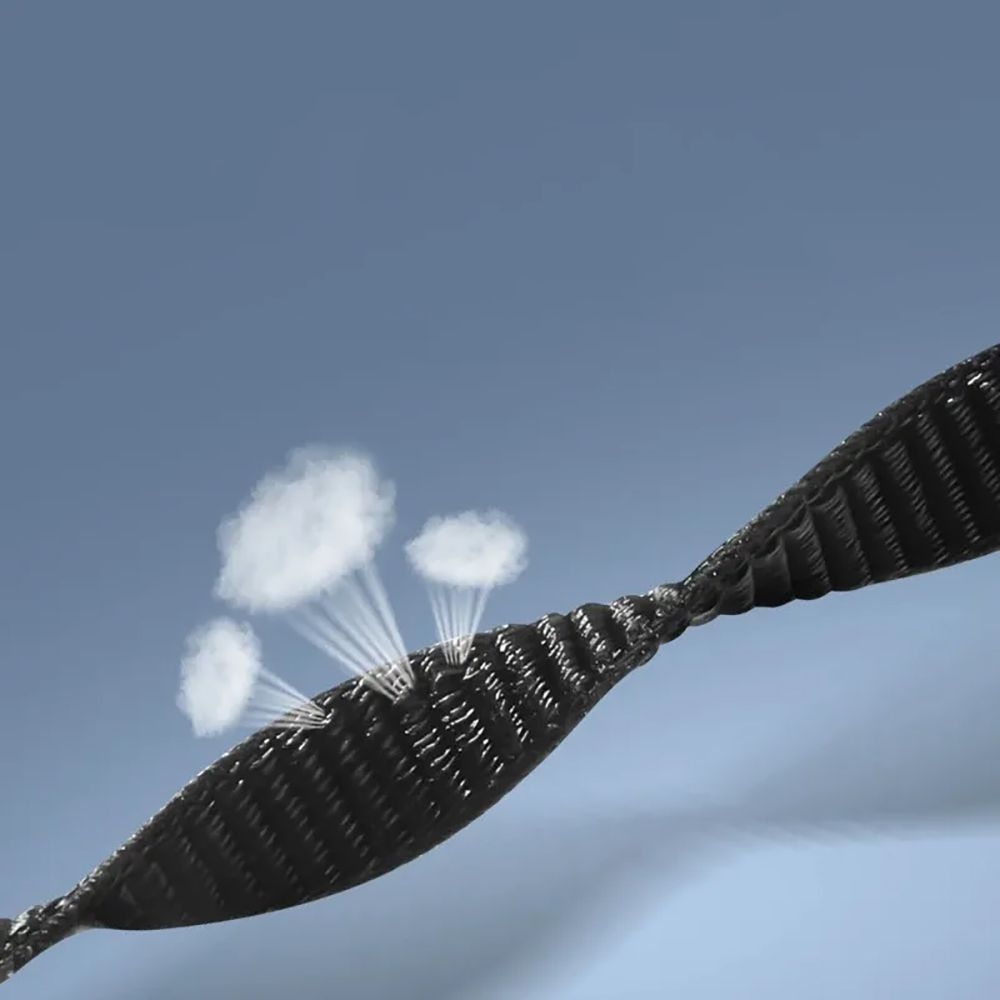 Product gallery 2587