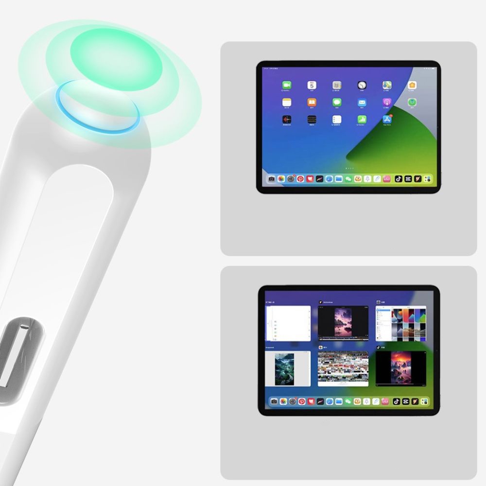 Product gallery 19391