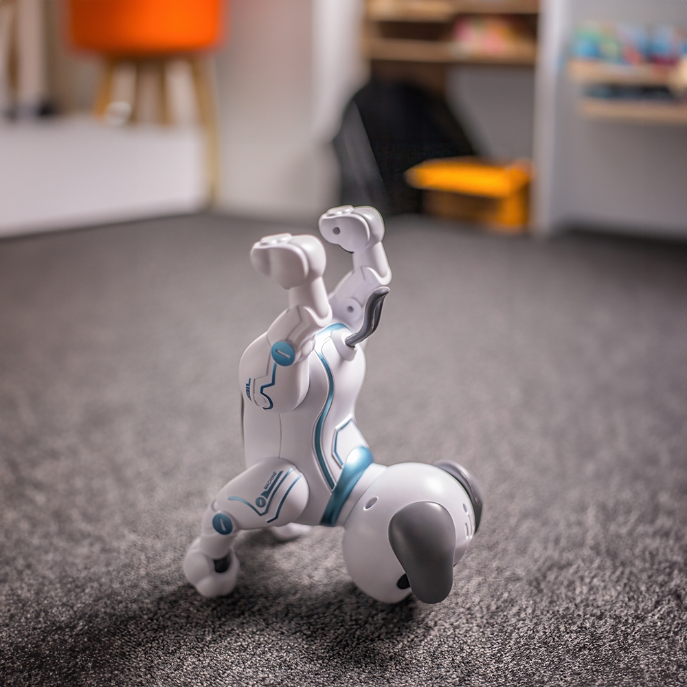 Product gallery 16035