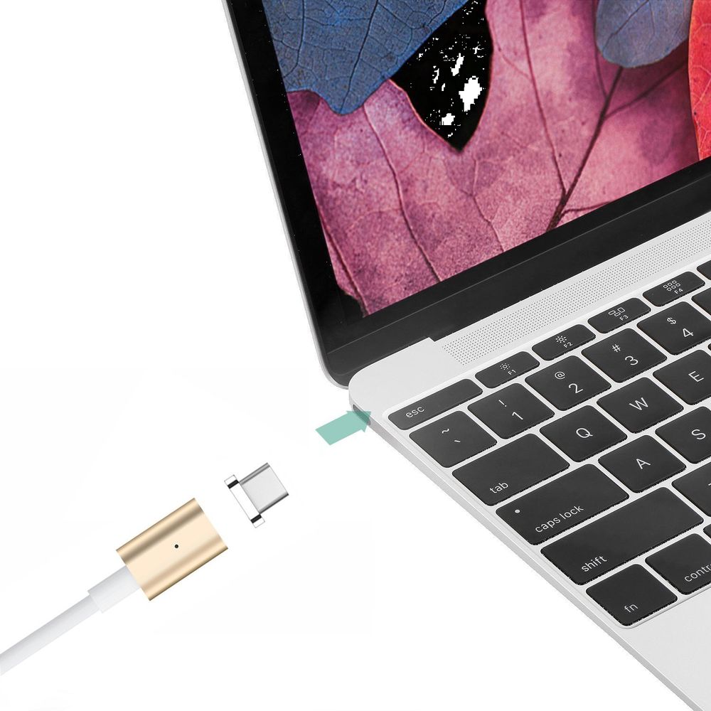 Product gallery 122593