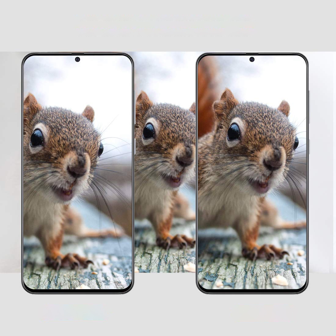 Product gallery 98809