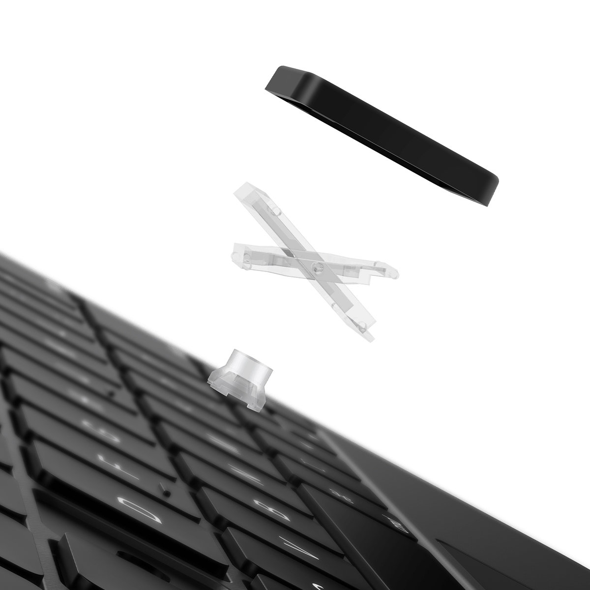 Product gallery 4436