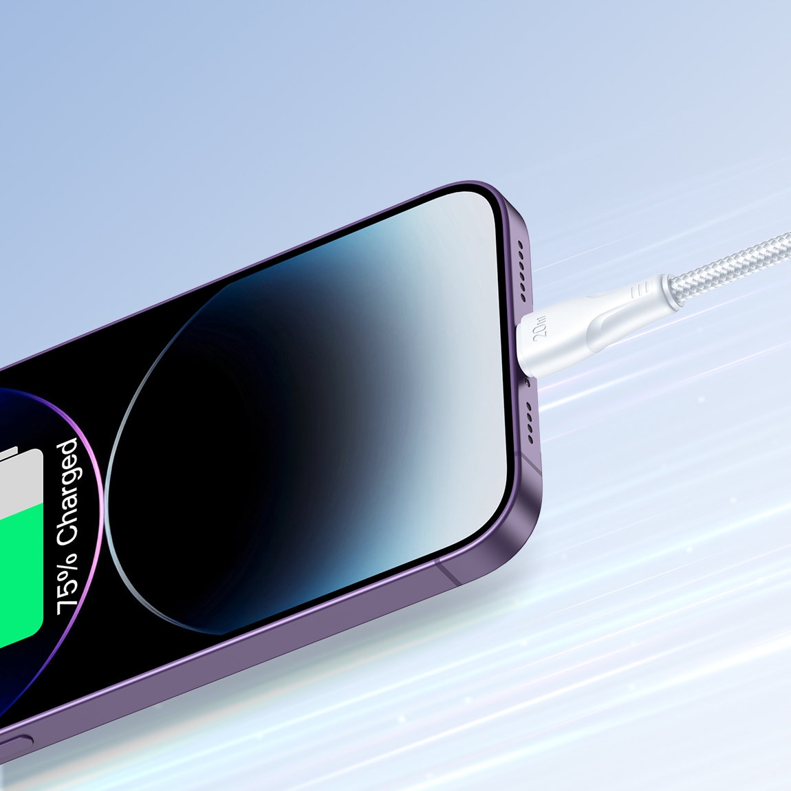 Product gallery 2964