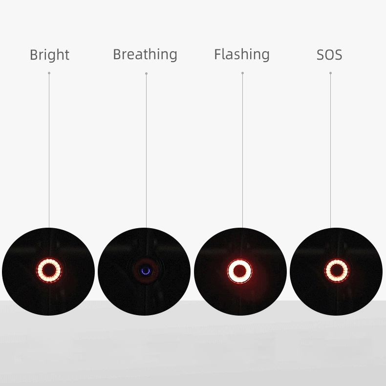 Product gallery 24817