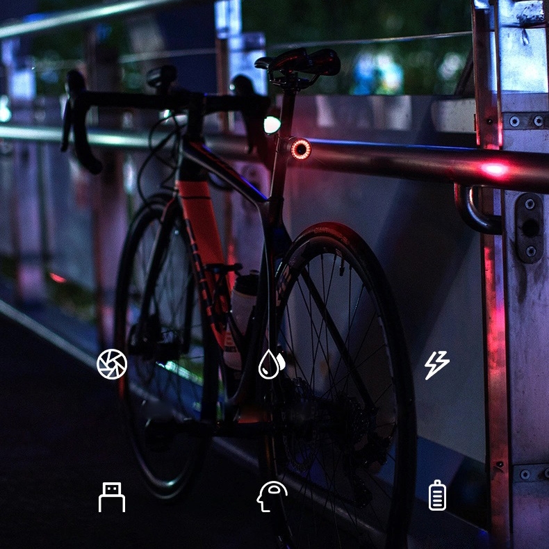 Product gallery 24810