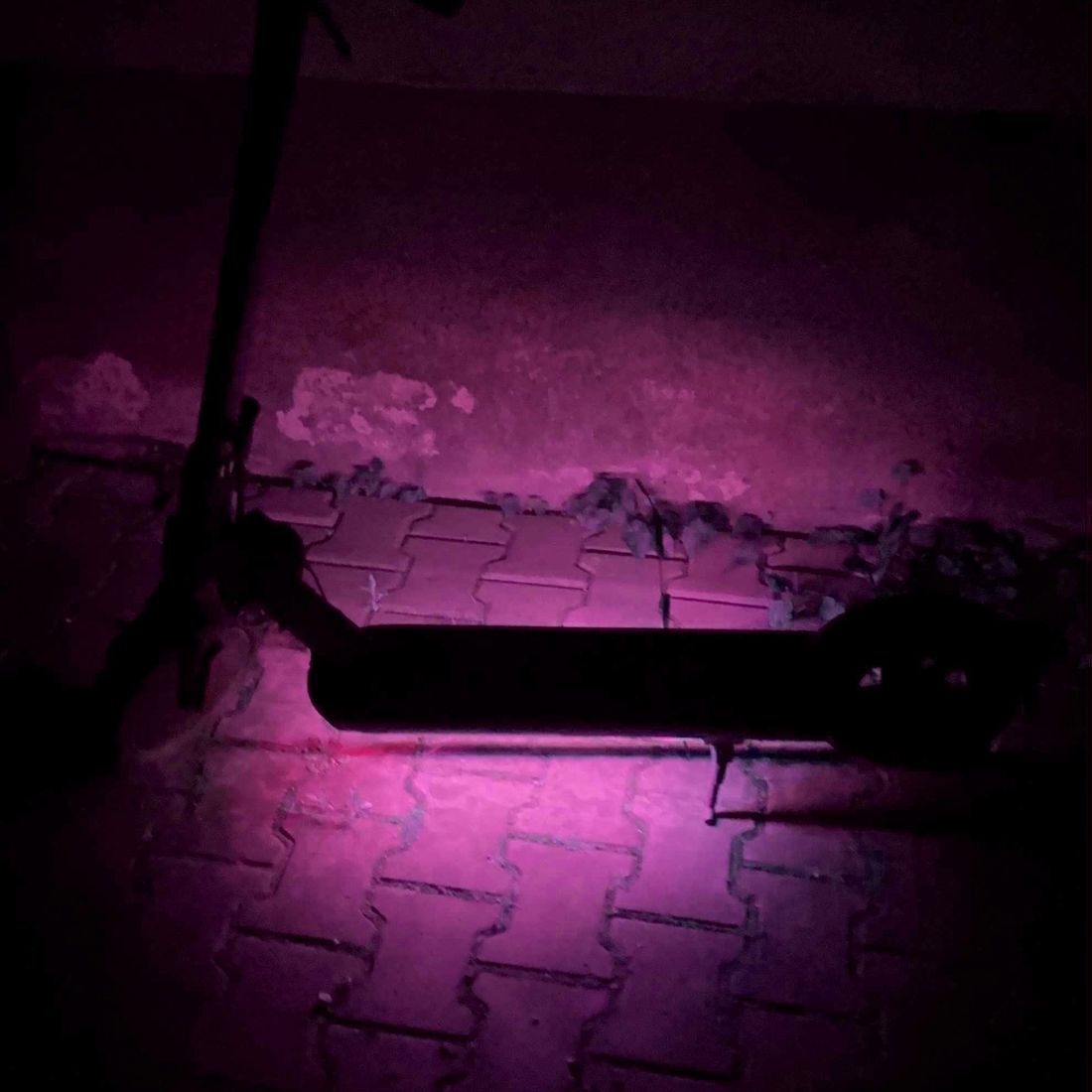 Product gallery 223777