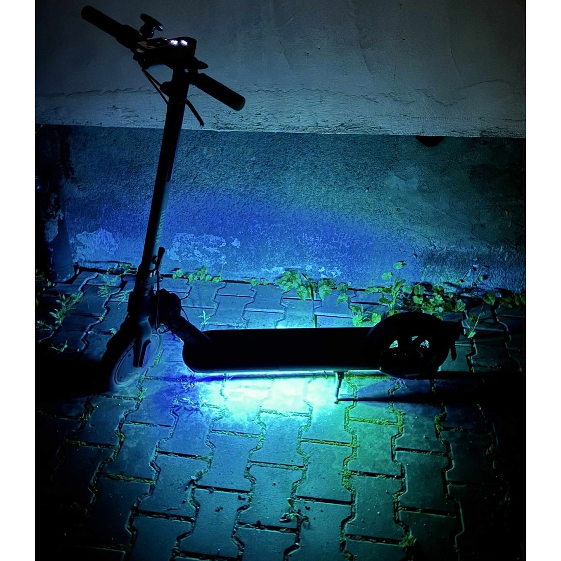 Product gallery 223779