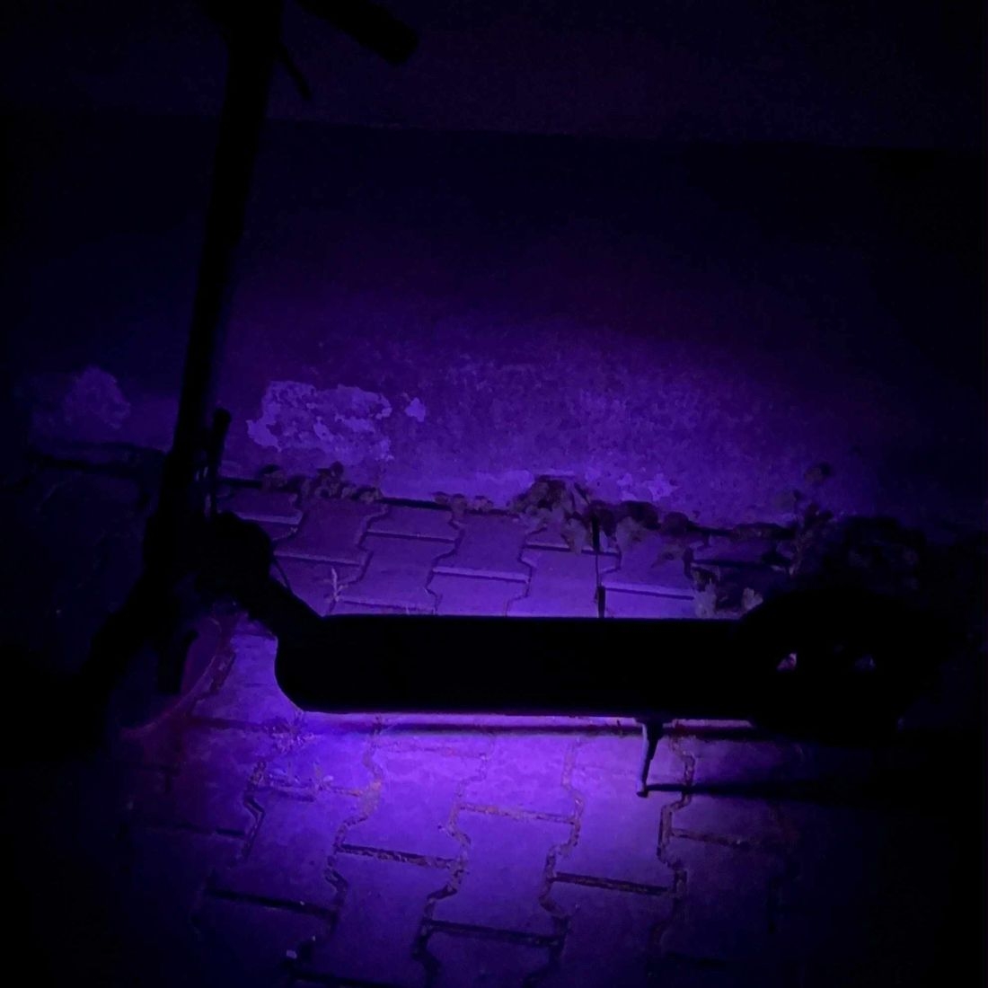 Product gallery 223778