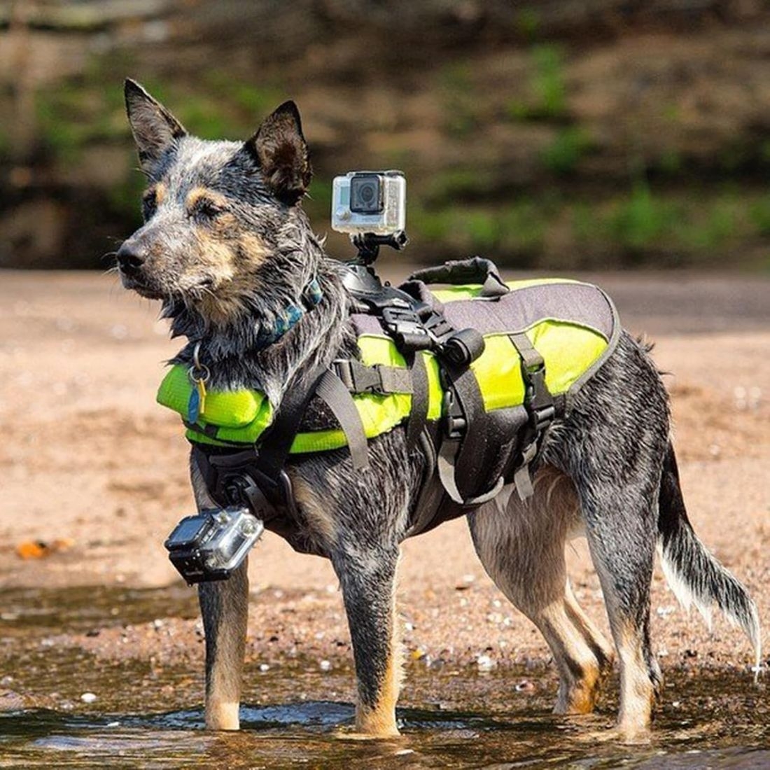 Product gallery 223221