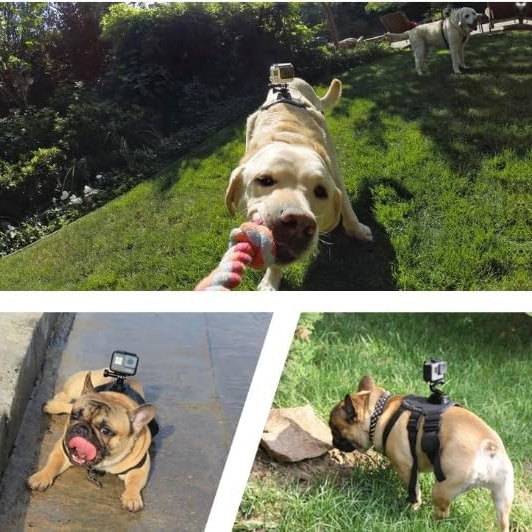 Product gallery 223222