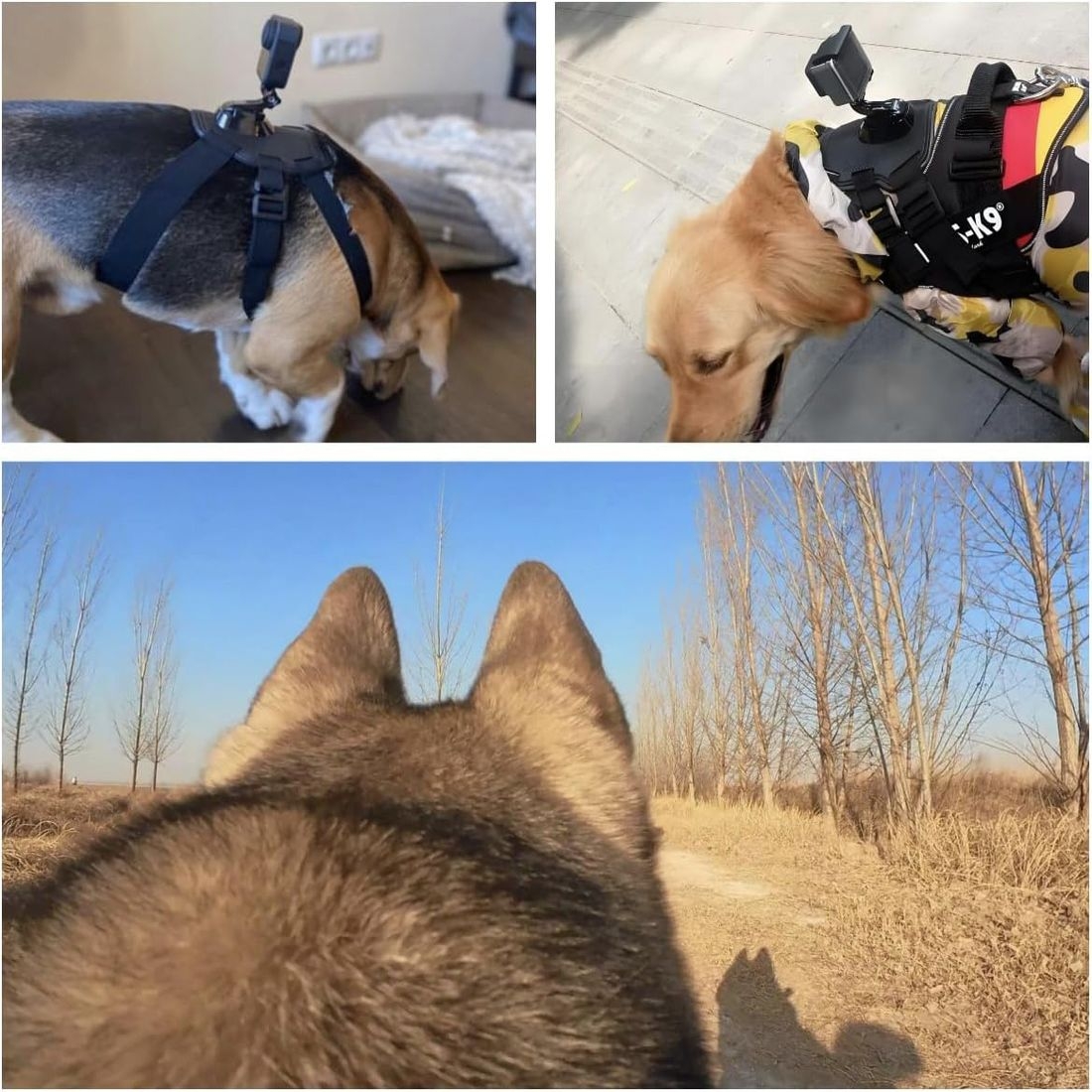 Product gallery 223220