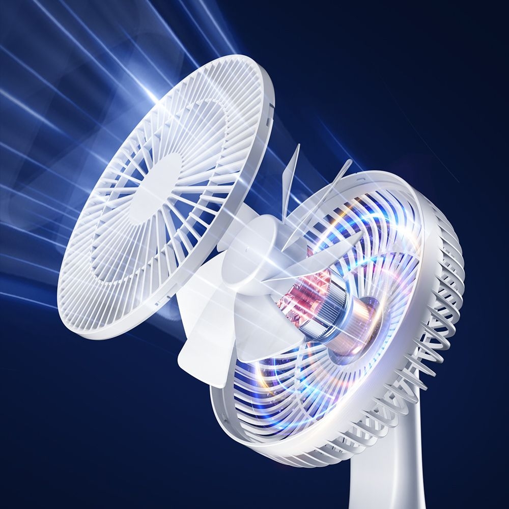 Product gallery 223513