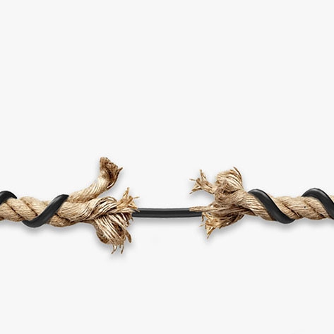 Product gallery 224306