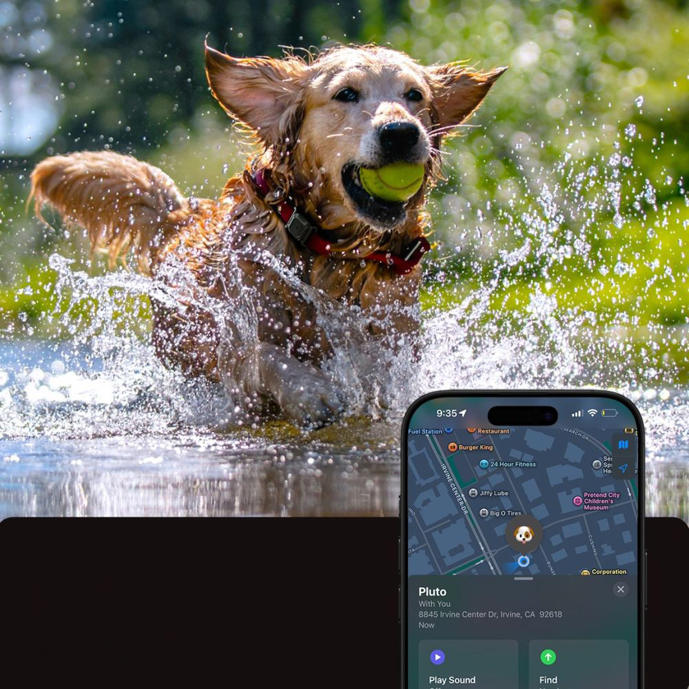 Product gallery 238857