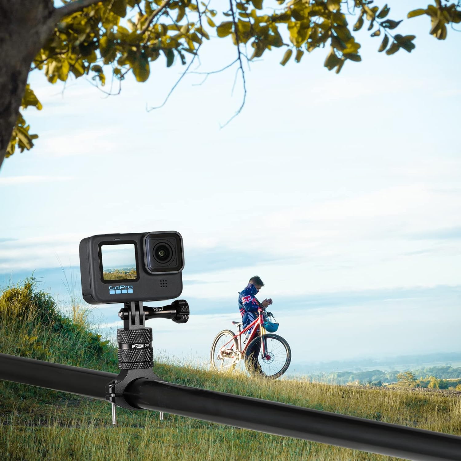 Product gallery 239001