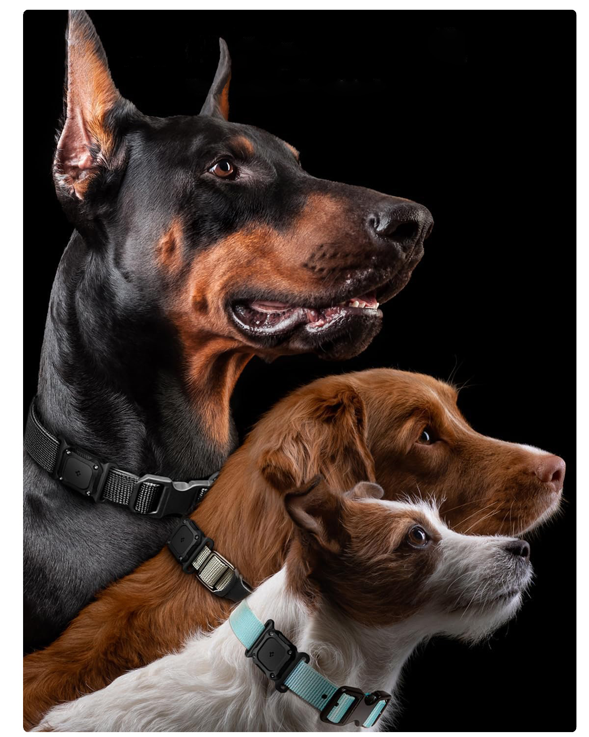 Product gallery 238861