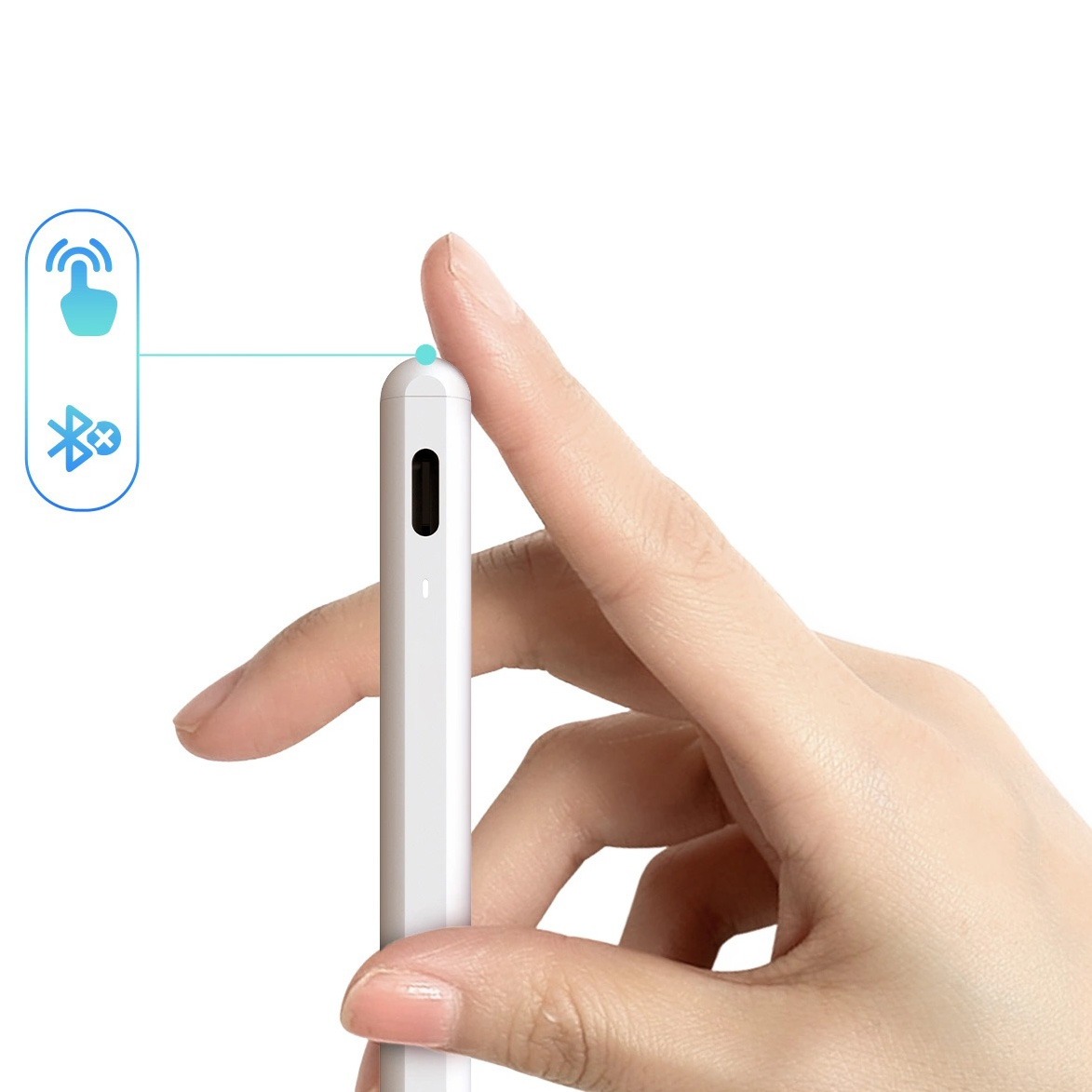 Product gallery 241280