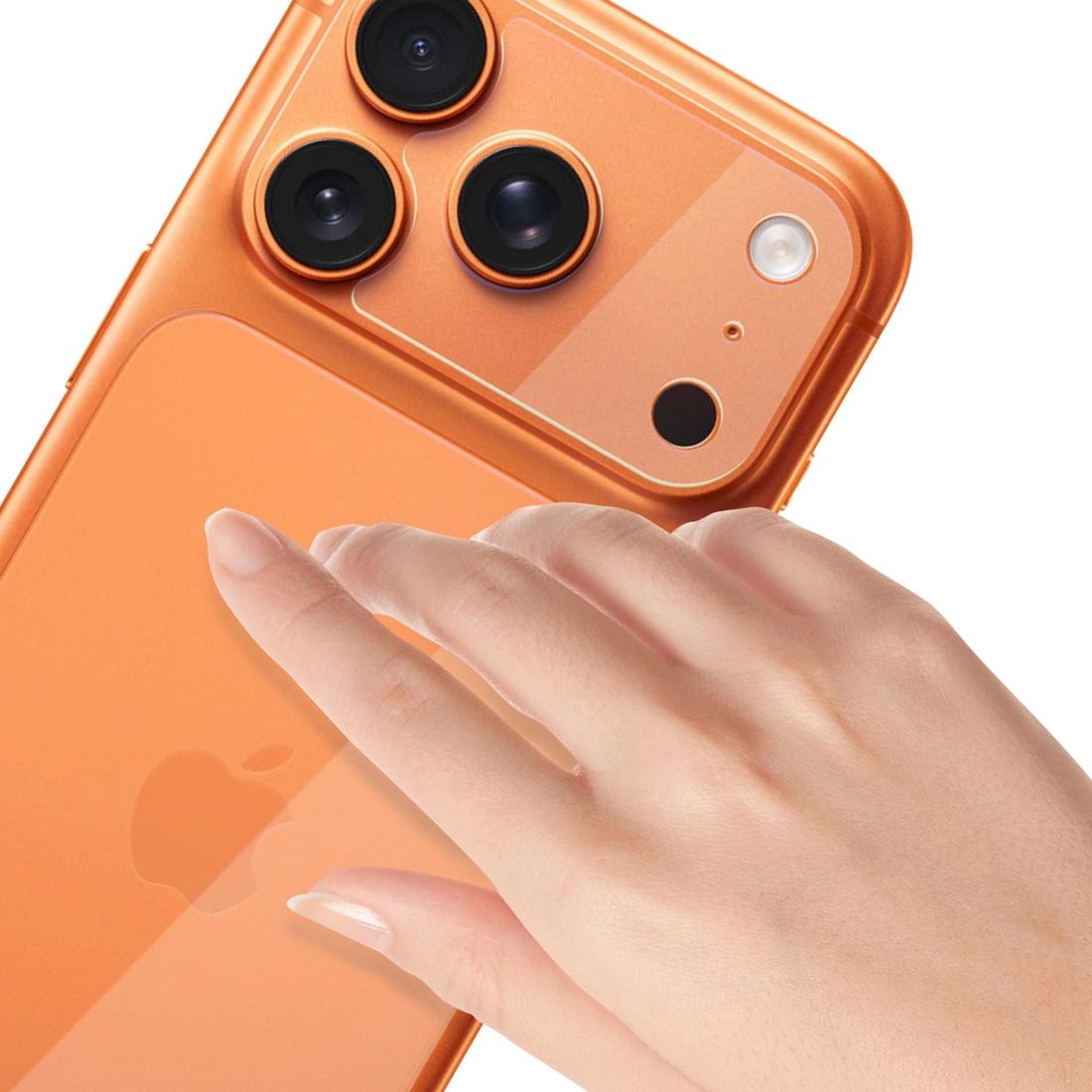 Product gallery 241918