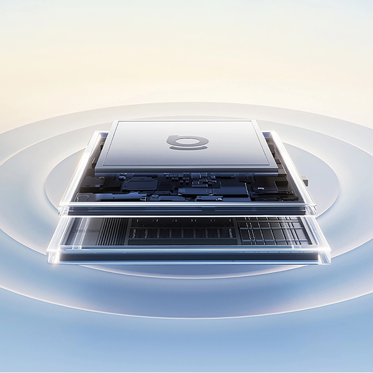 Product gallery 241361