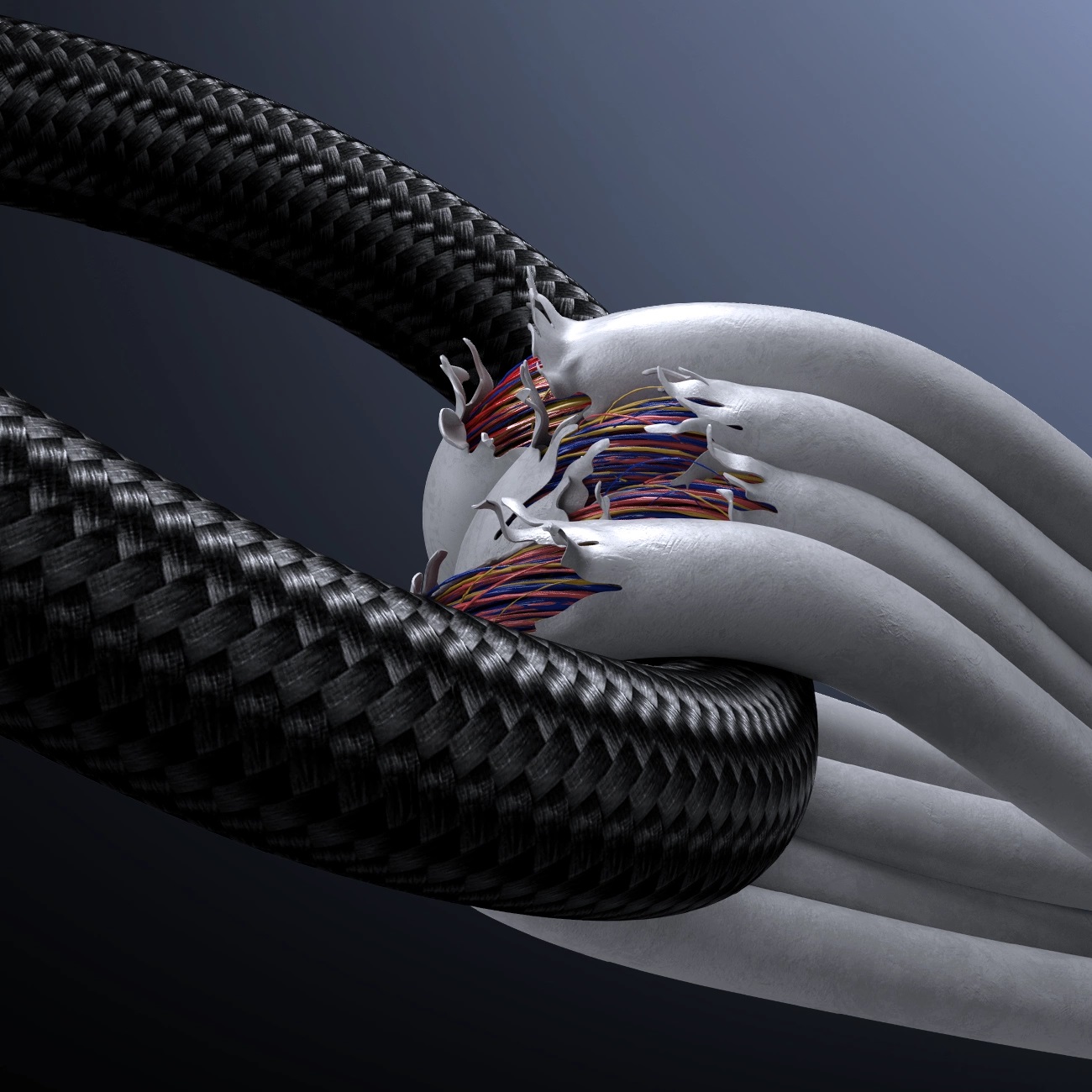 Product gallery 241708