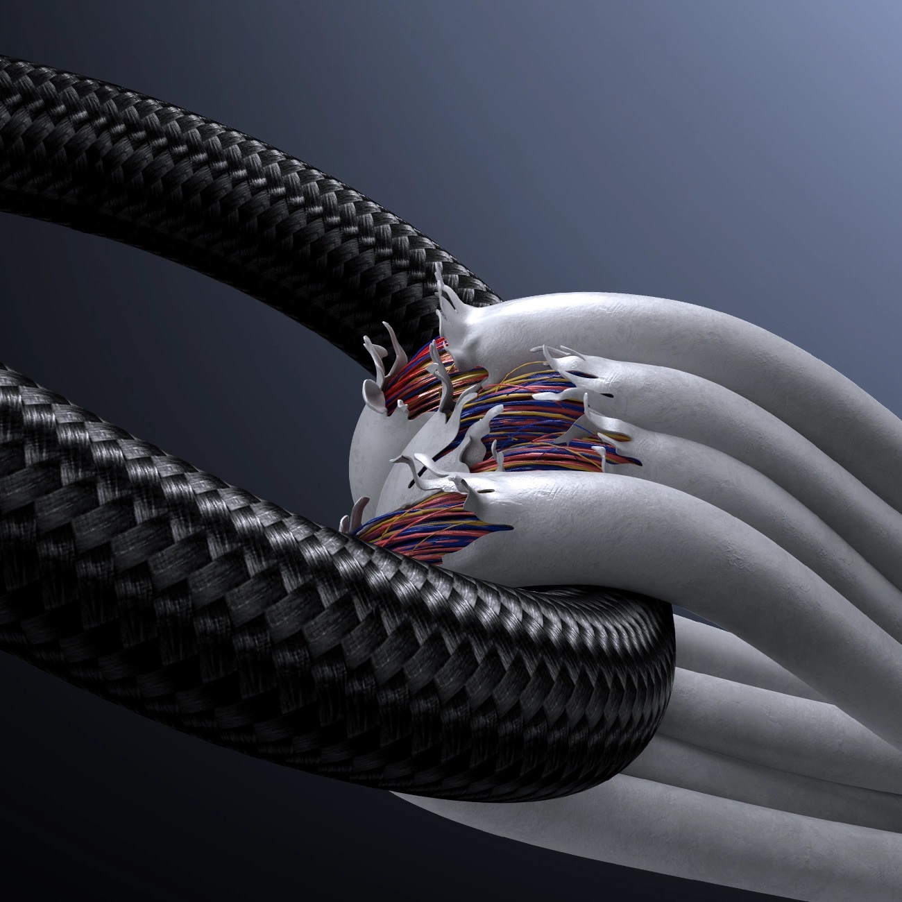 Product gallery 241698