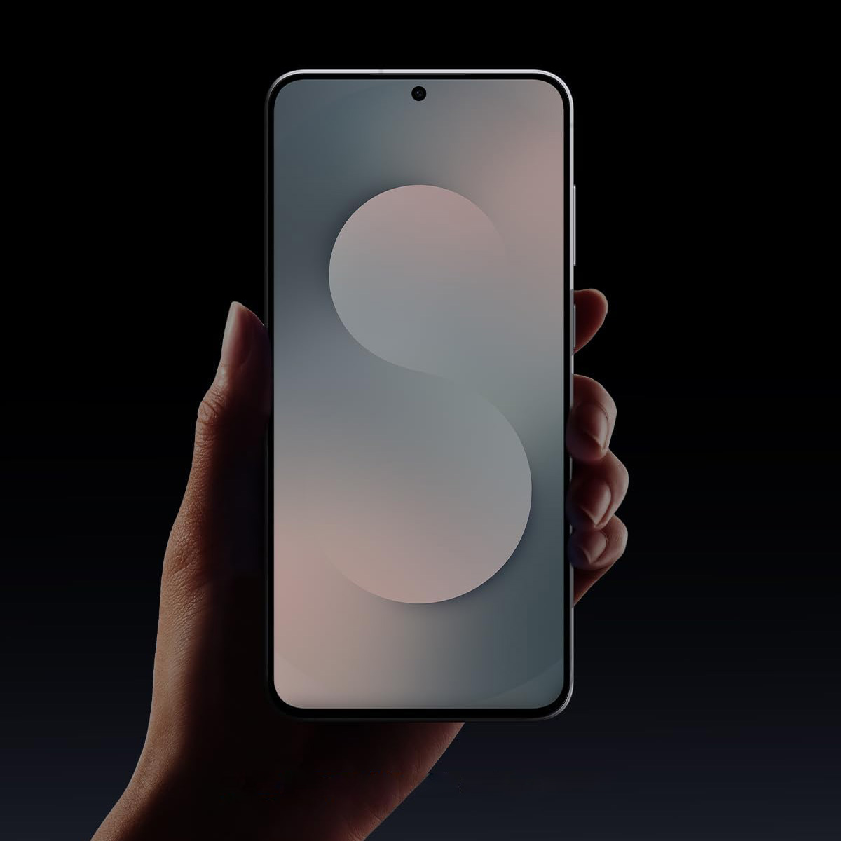 Product gallery 243041