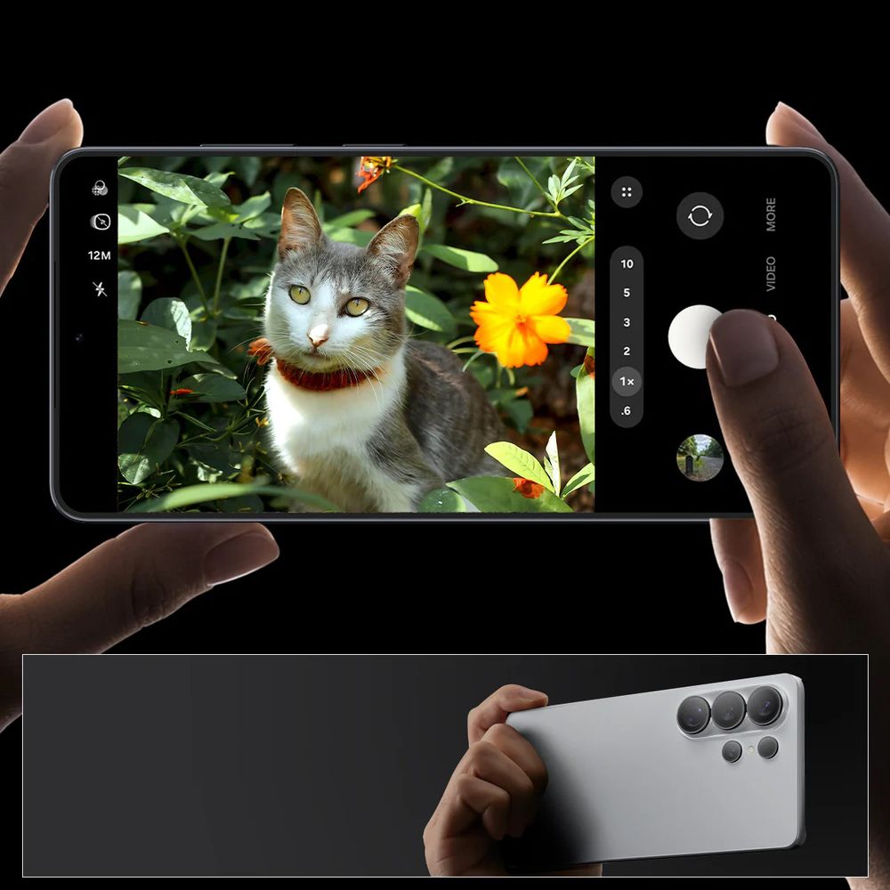 Product gallery 243758