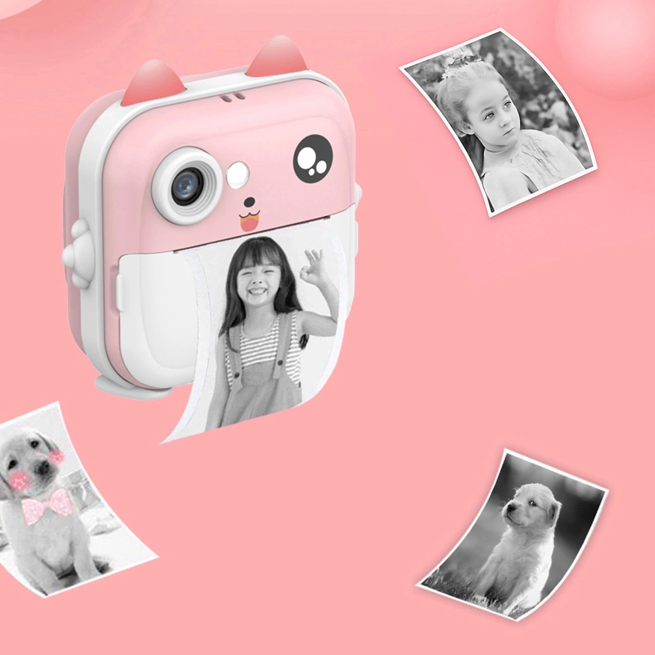 Product gallery 245284