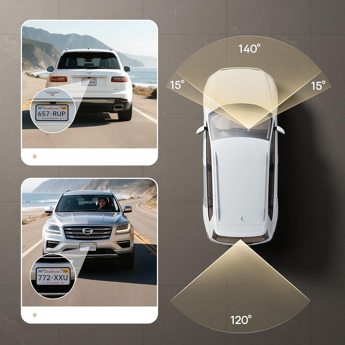 Product gallery 245349