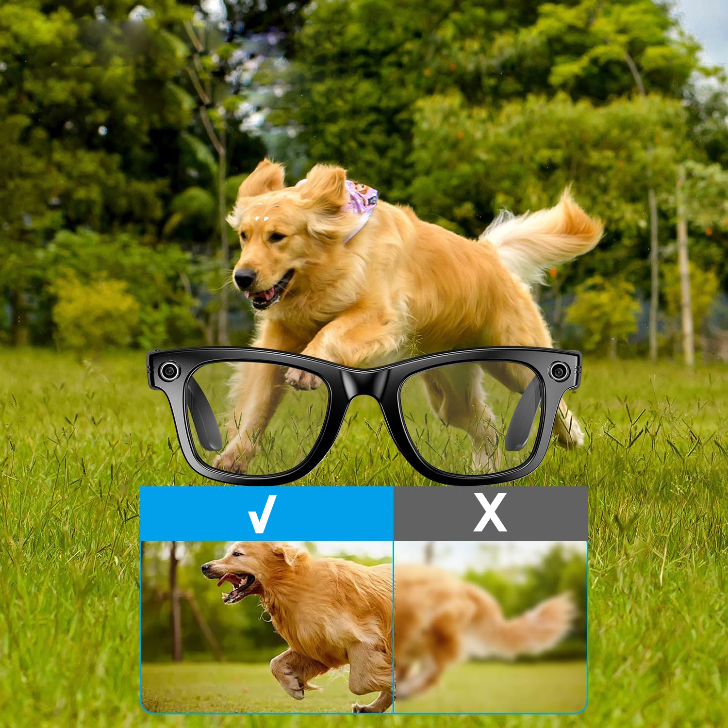 Product gallery 245194