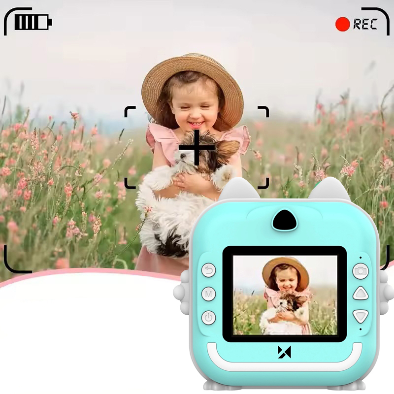 Product gallery 245297