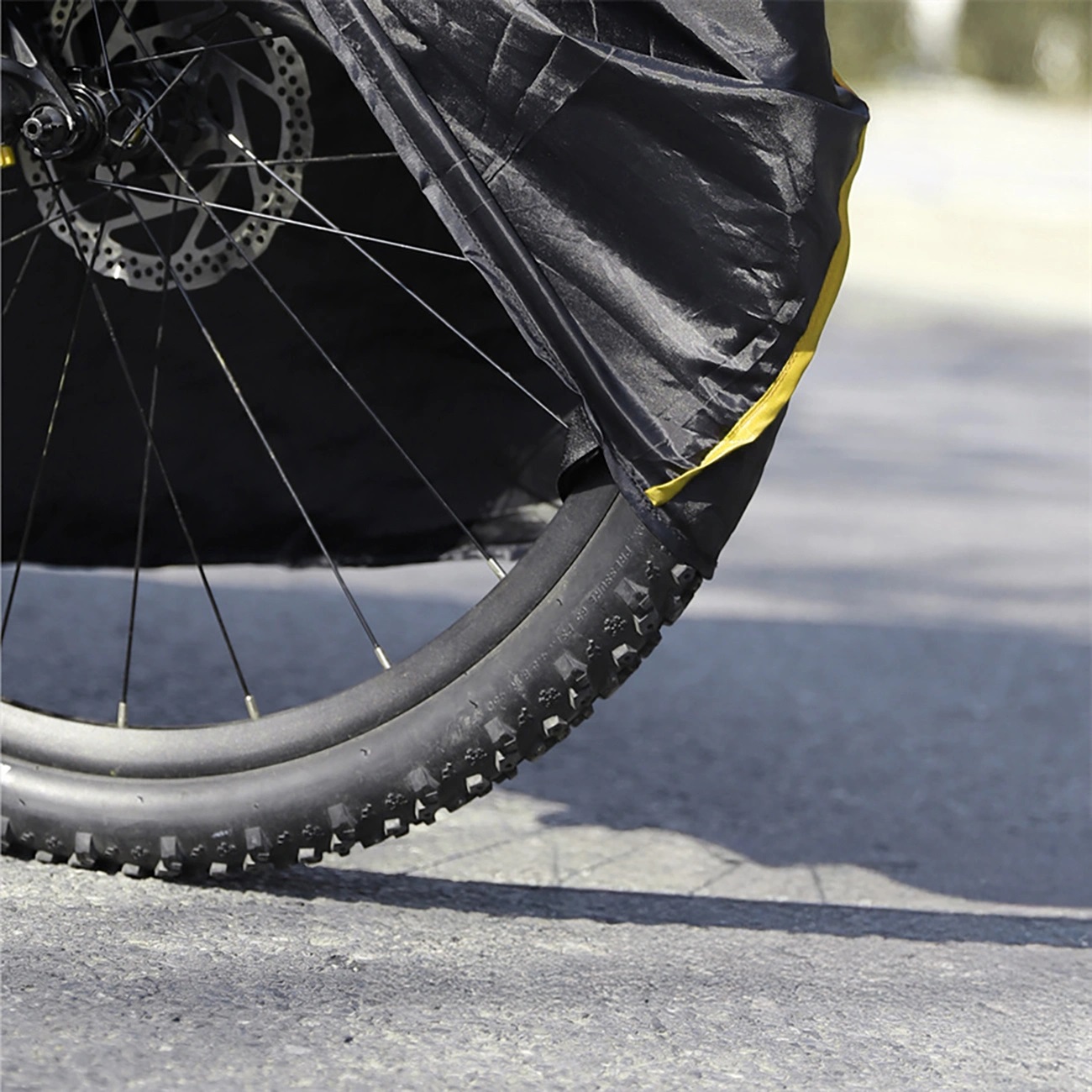 Product gallery 245069