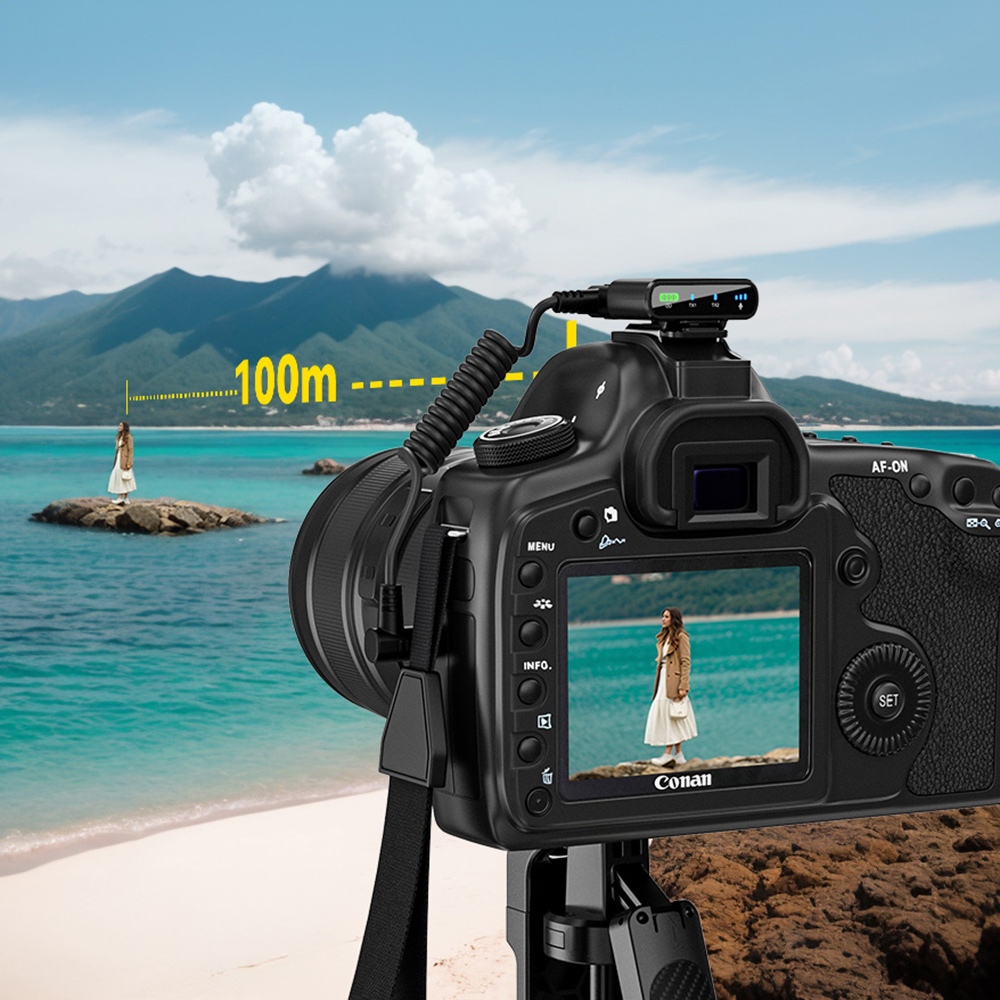 Product gallery 245206