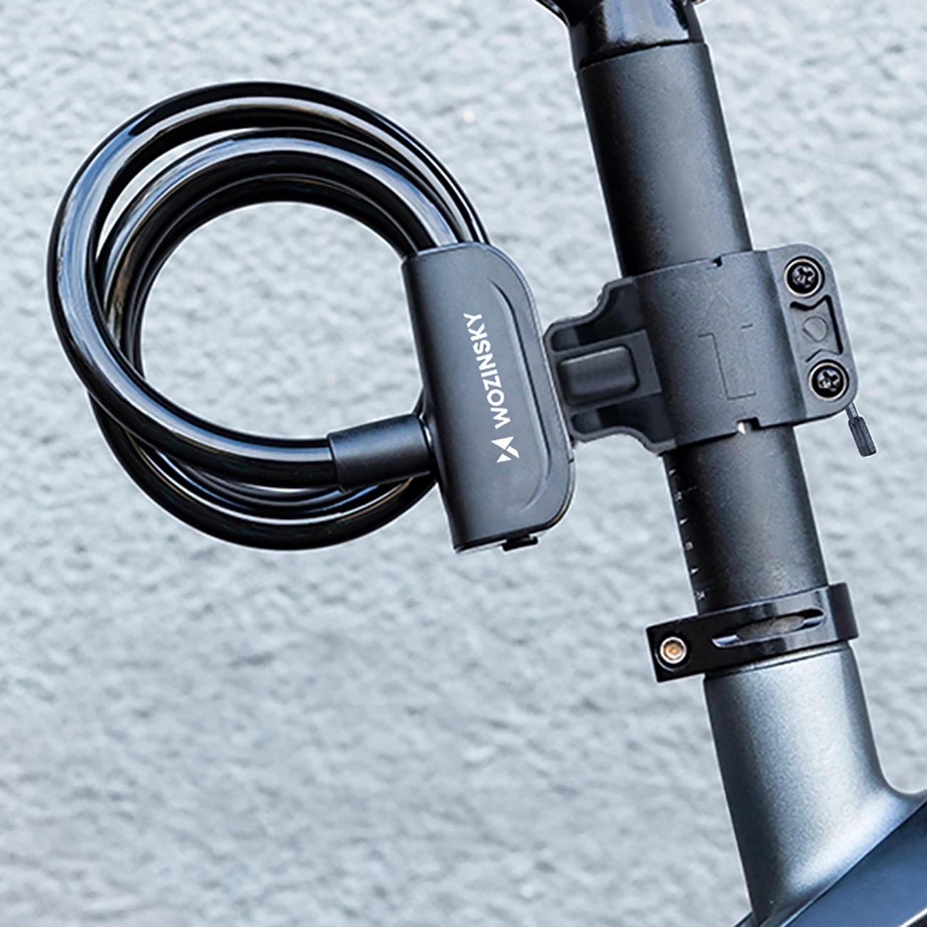 Product gallery 247771