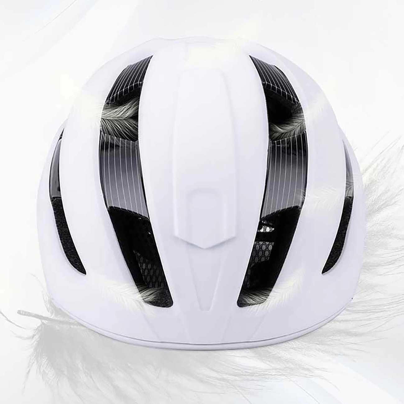 Product gallery 248066