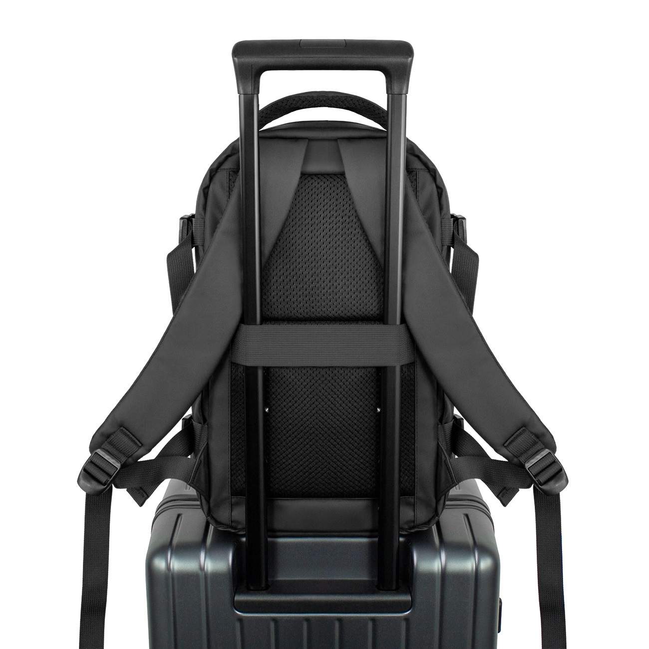 Product gallery 248740