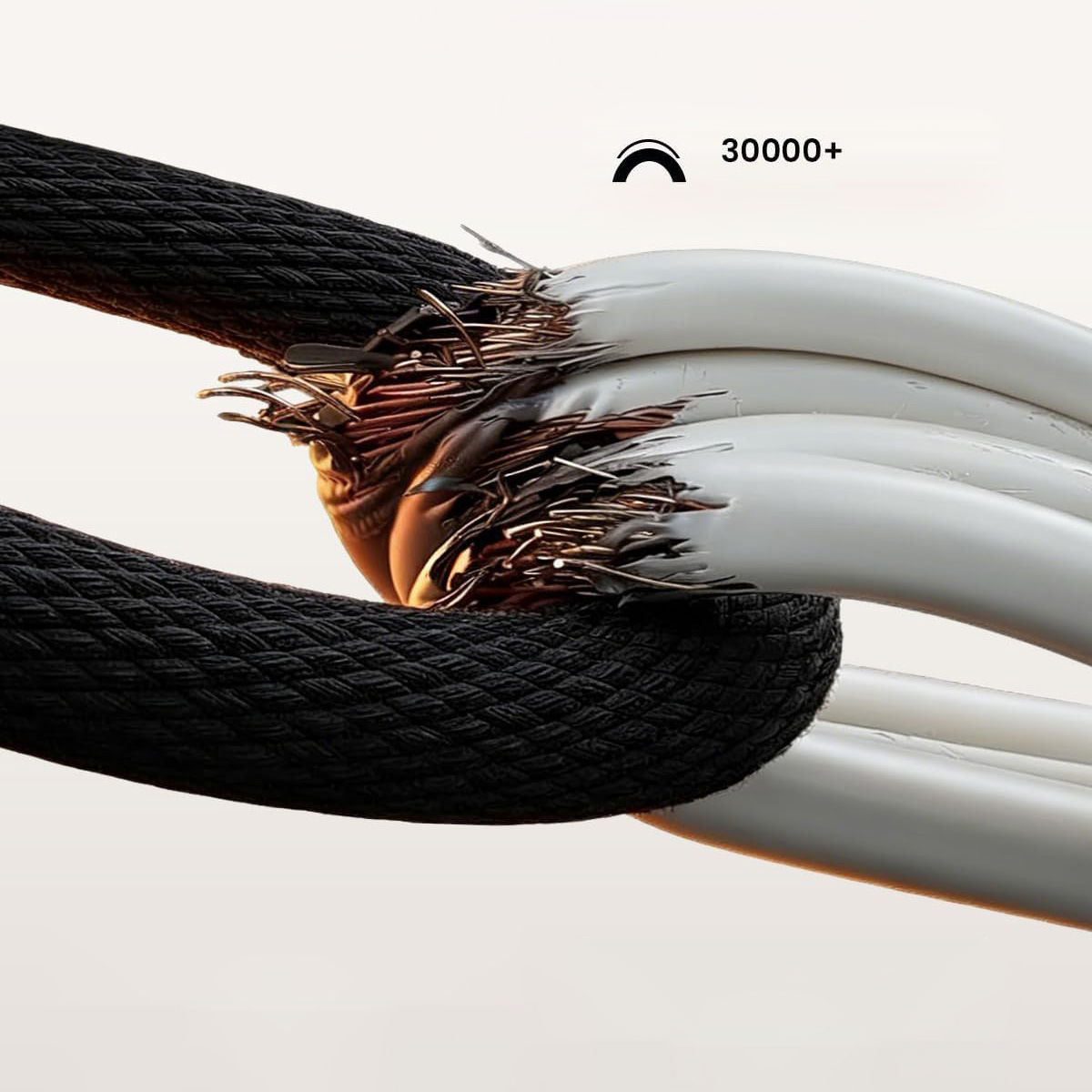 Product gallery 250699