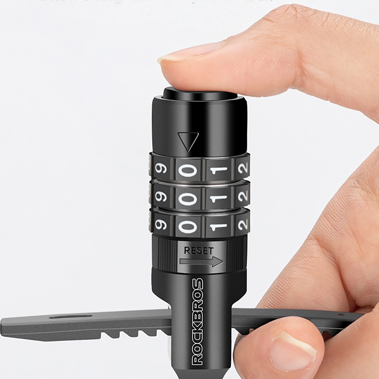 Product gallery 250684