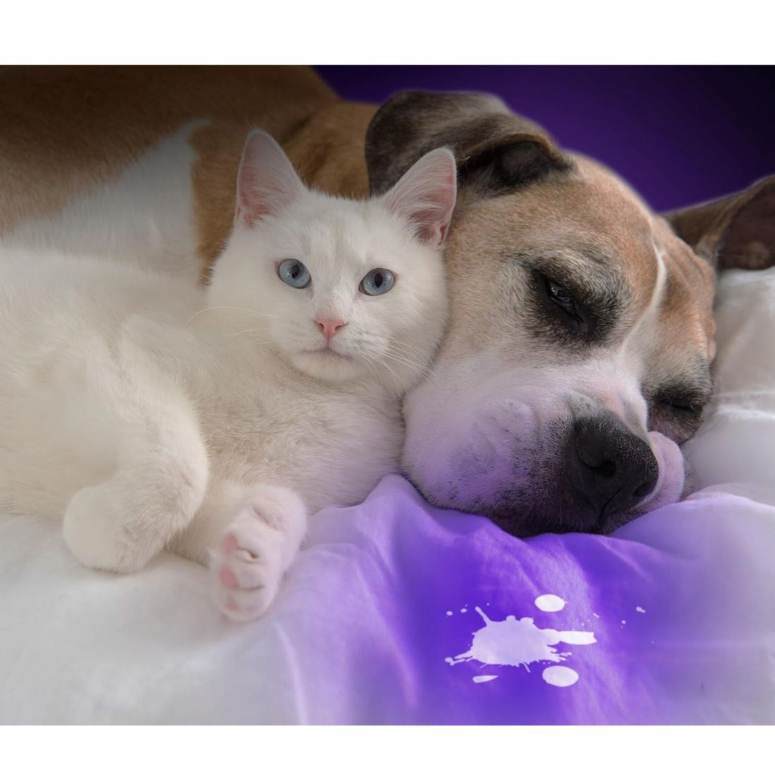 Product gallery 252020