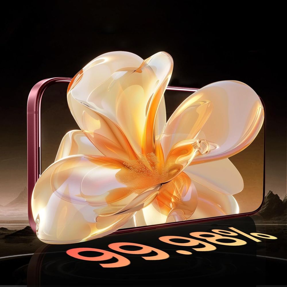 Product gallery 253779