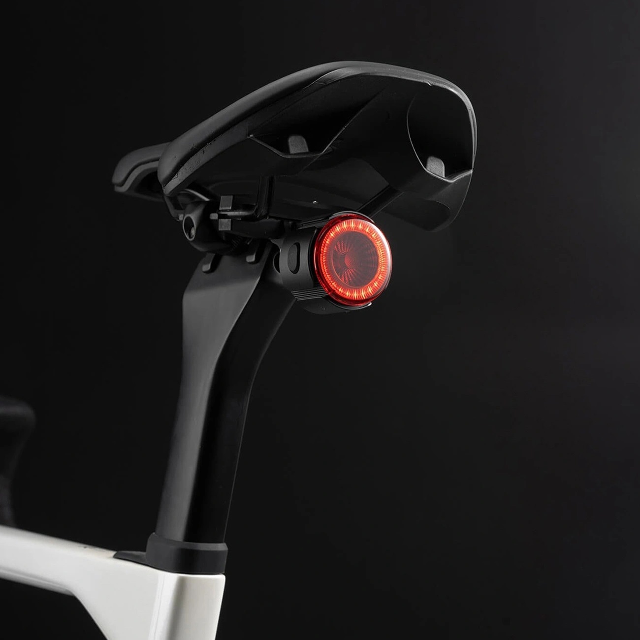 Product gallery 252880